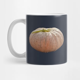 Pale Orange Pumpkin for Halloween Decoration Mug